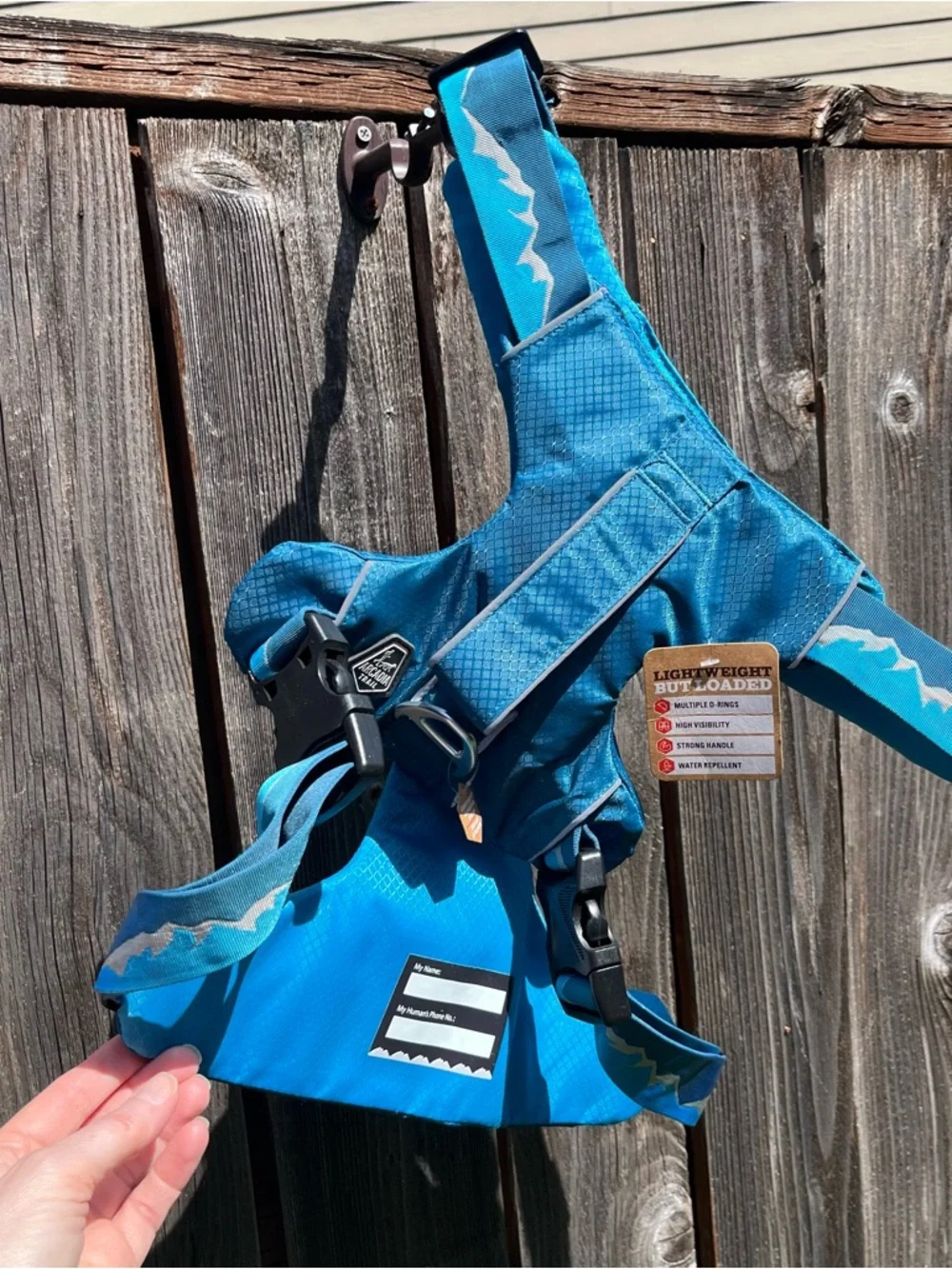 Lightweight teal outdoor Arcadia trail harness